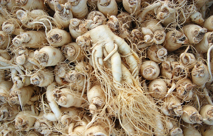 ginseng-wurzel-ganz